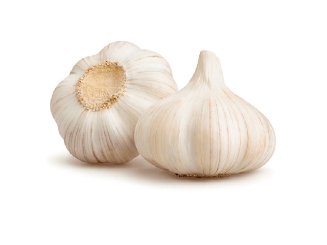 Garlic bulbs