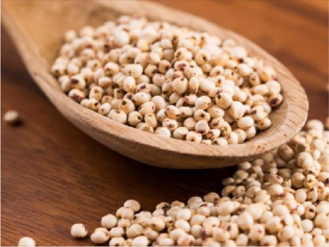 Jowar (sorghum) millet grains