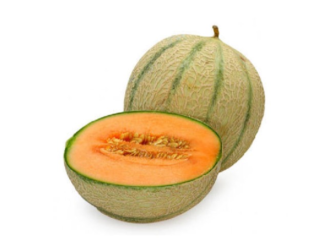 Netted muskmelon